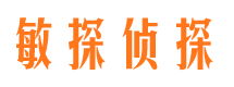 霍城市侦探公司